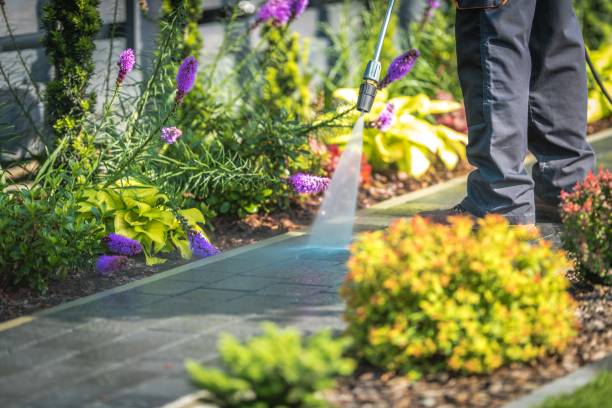 Reliable Cloverdale, CA Pressure Washing Services Solutions